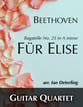 Fur Elise Guitar and Fretted sheet music cover